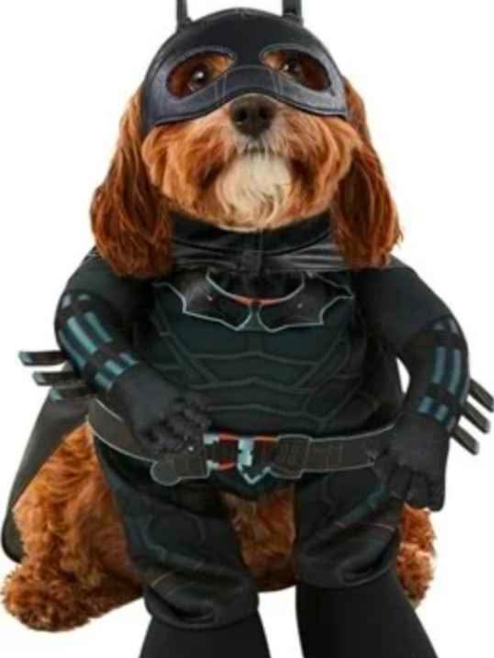 Rubies DC Batman Pet Costume Dog Superhero-Small Costume with Cape and Mask